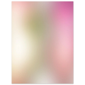 a8ad6ee7-057b-41fd-8f6a-f0f9754ad827